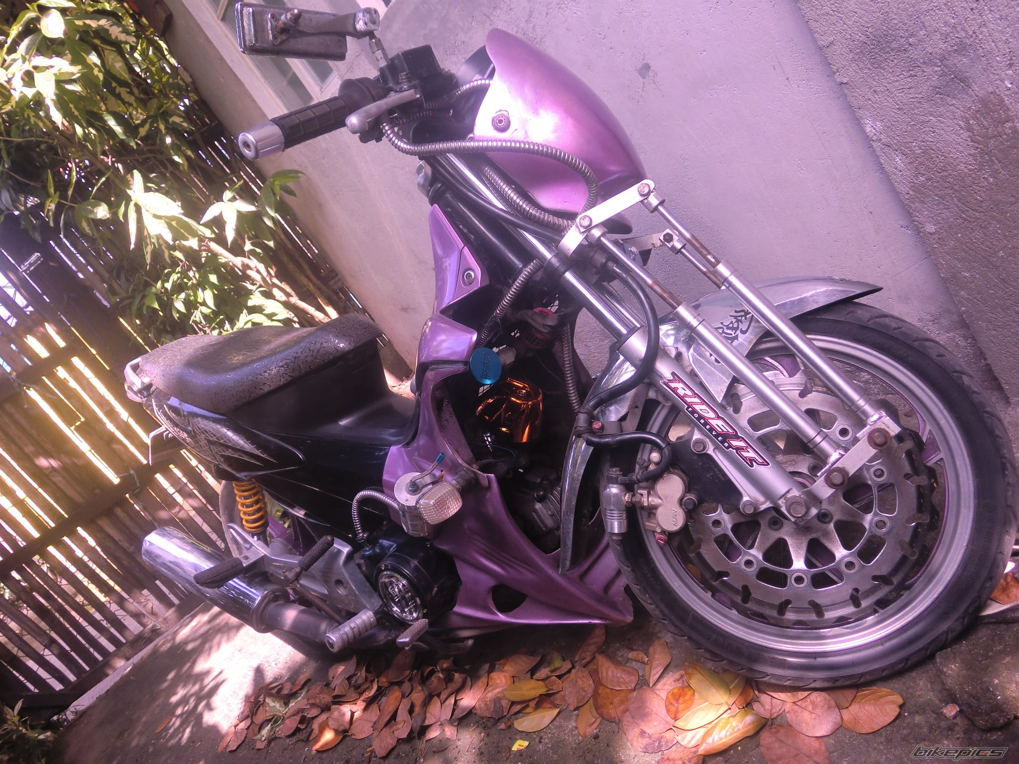 Photo 2640767