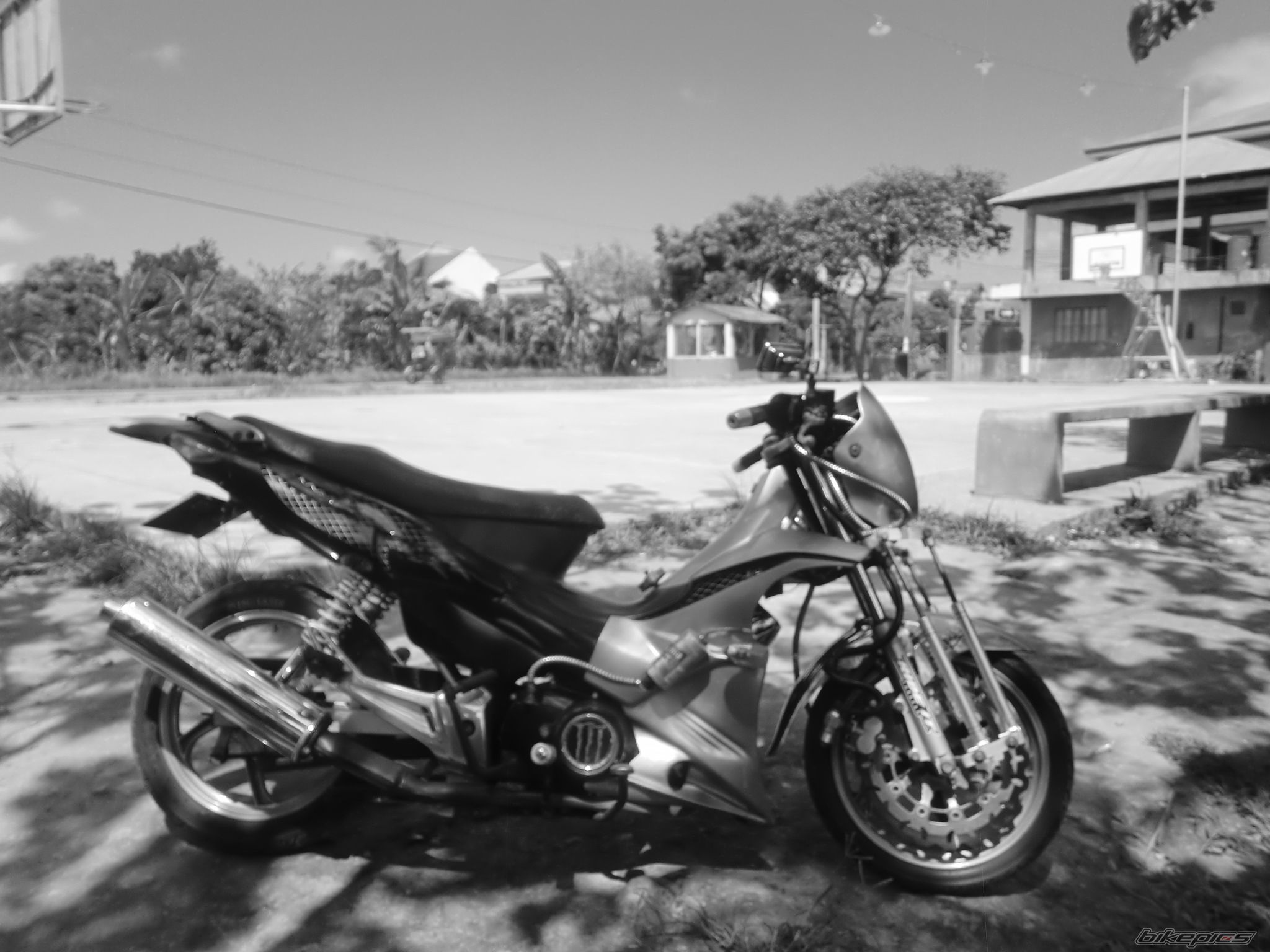 Photo 2640782