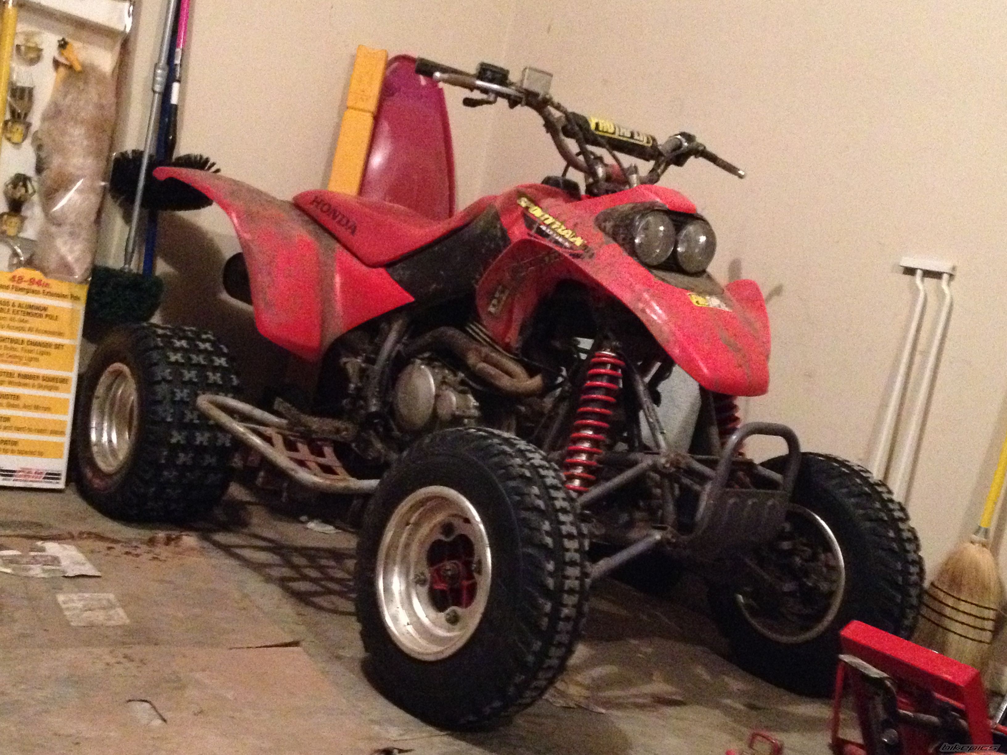 Photo 2640856