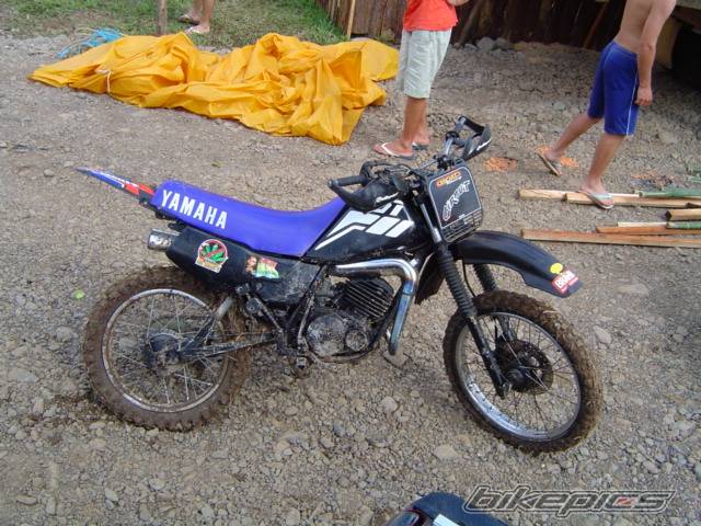 Photo 264087
