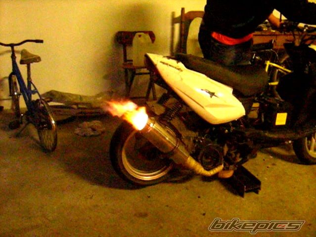 Photo 2640879