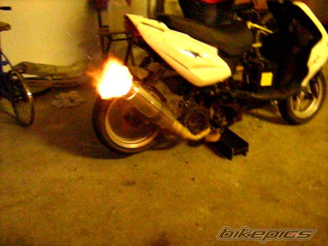 Photo 2640880