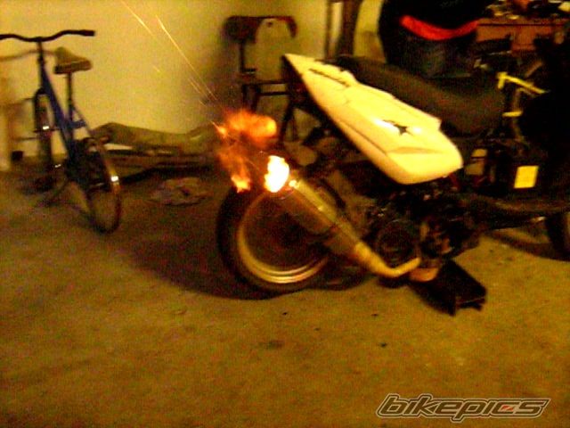 Photo 2640881