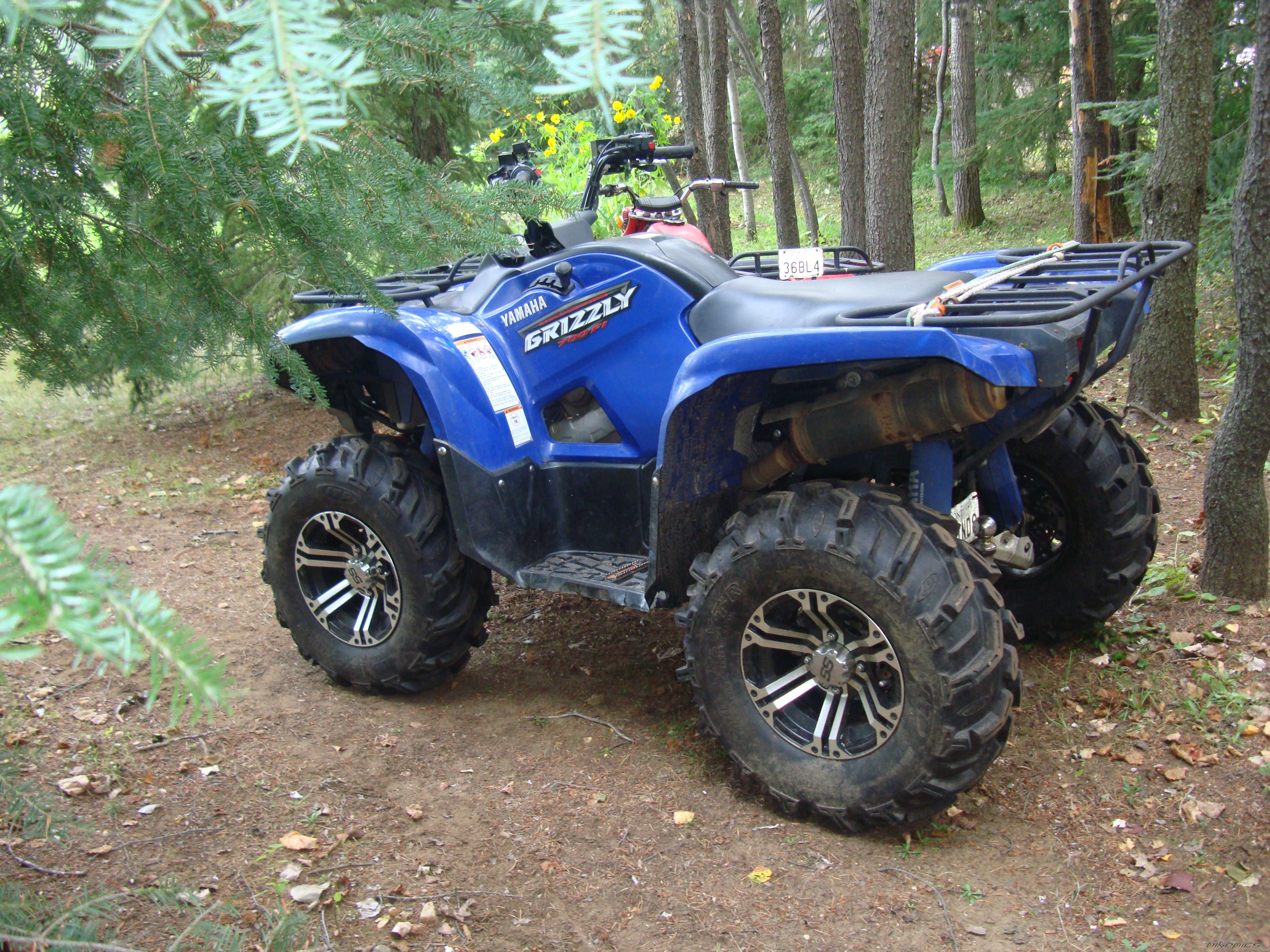 Photo 2640992