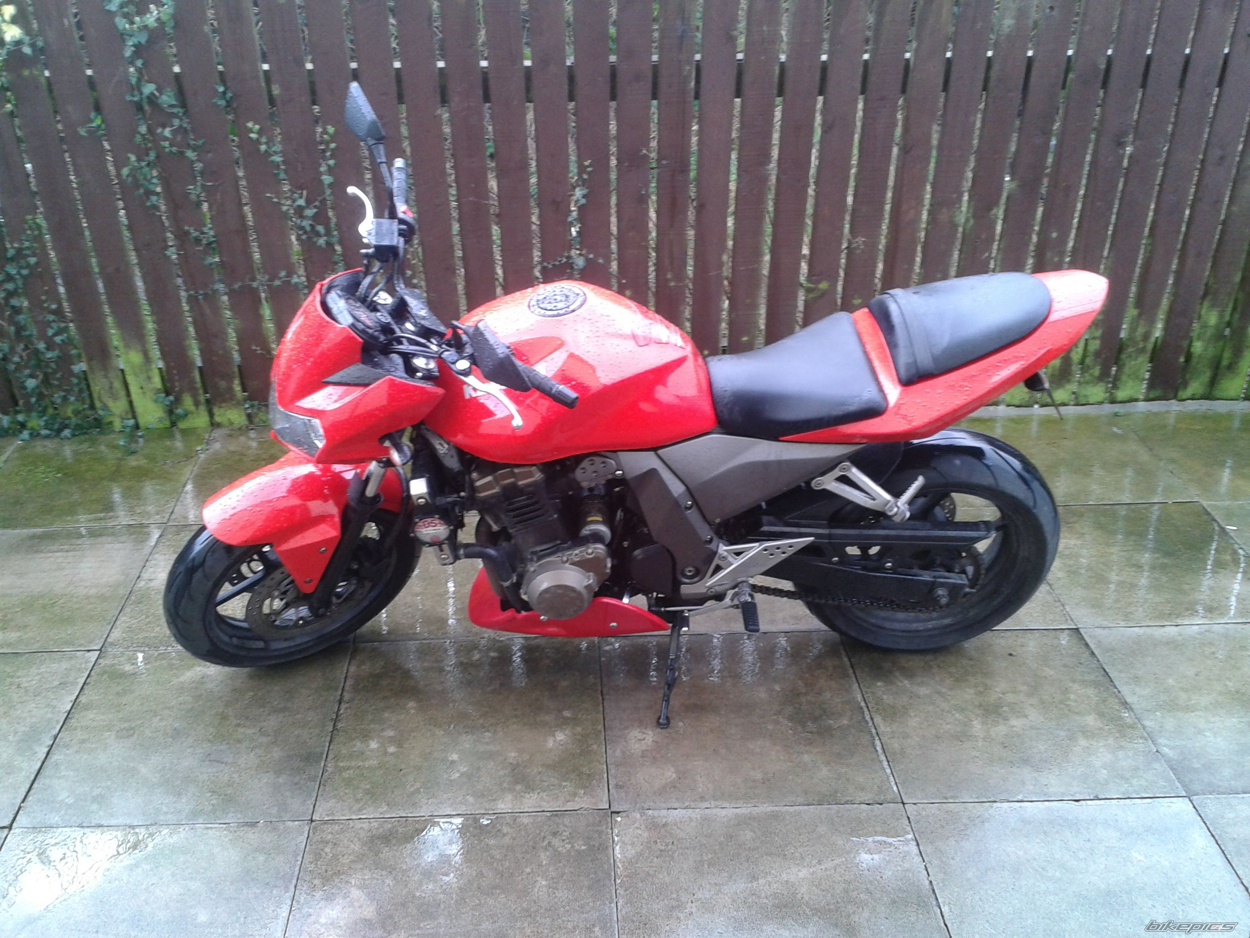 Photo 2640994