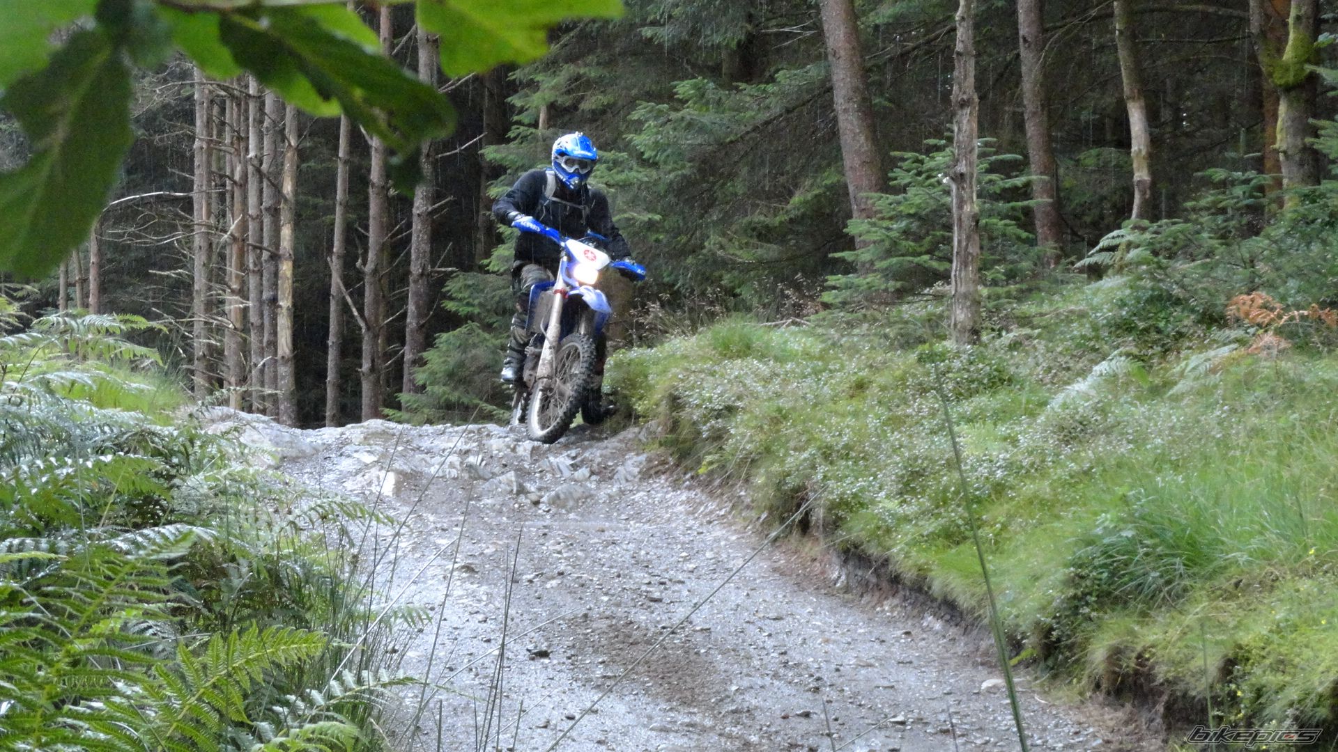 Bike Photo 2641126