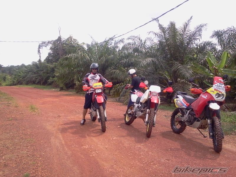 Photo 2641221