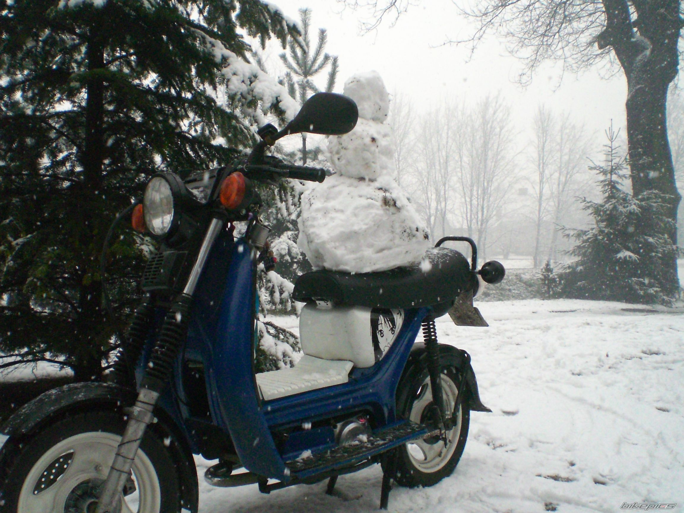 Bike Photo 2641290