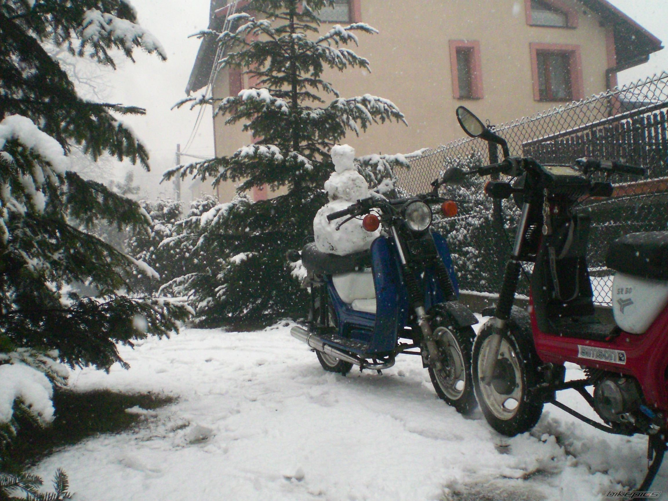 Photo 2641291