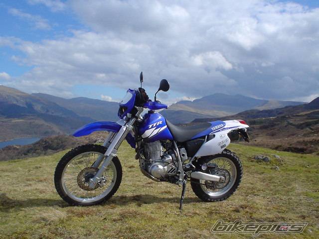 Photo 264132