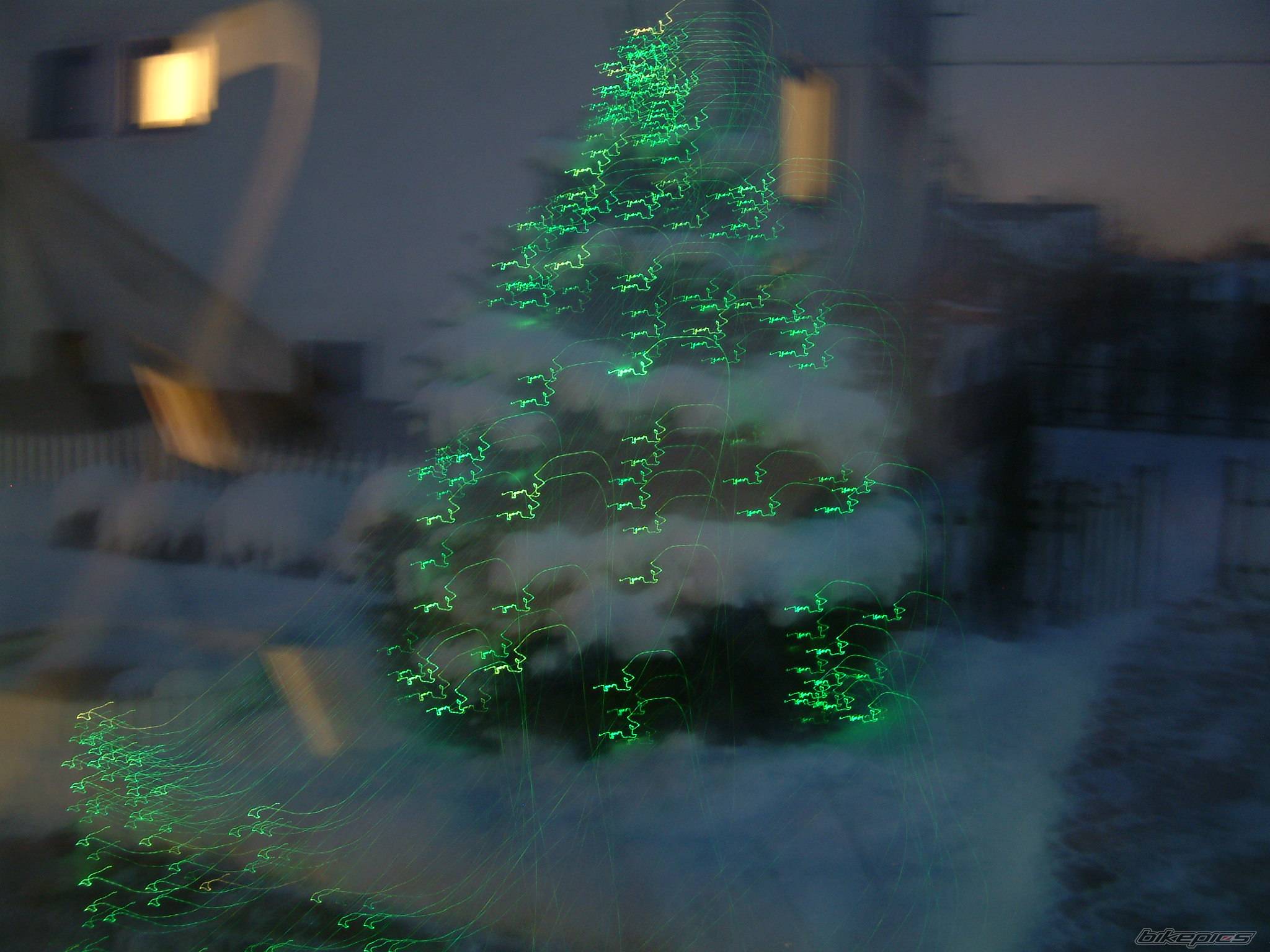 Photo 264137