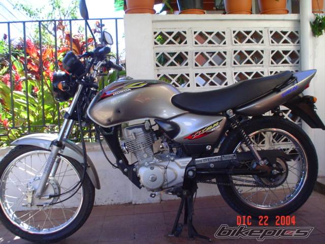 Photo 264181