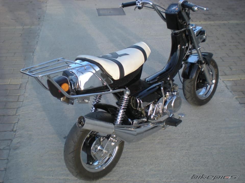 Photo 2641983