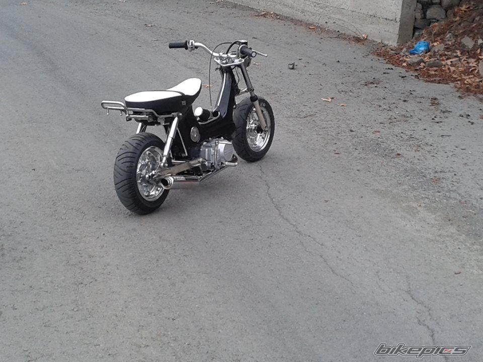 Photo 2641987