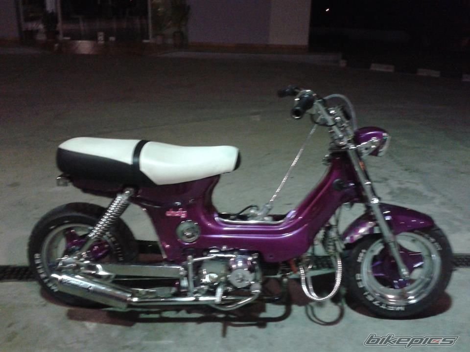 Photo 2641991