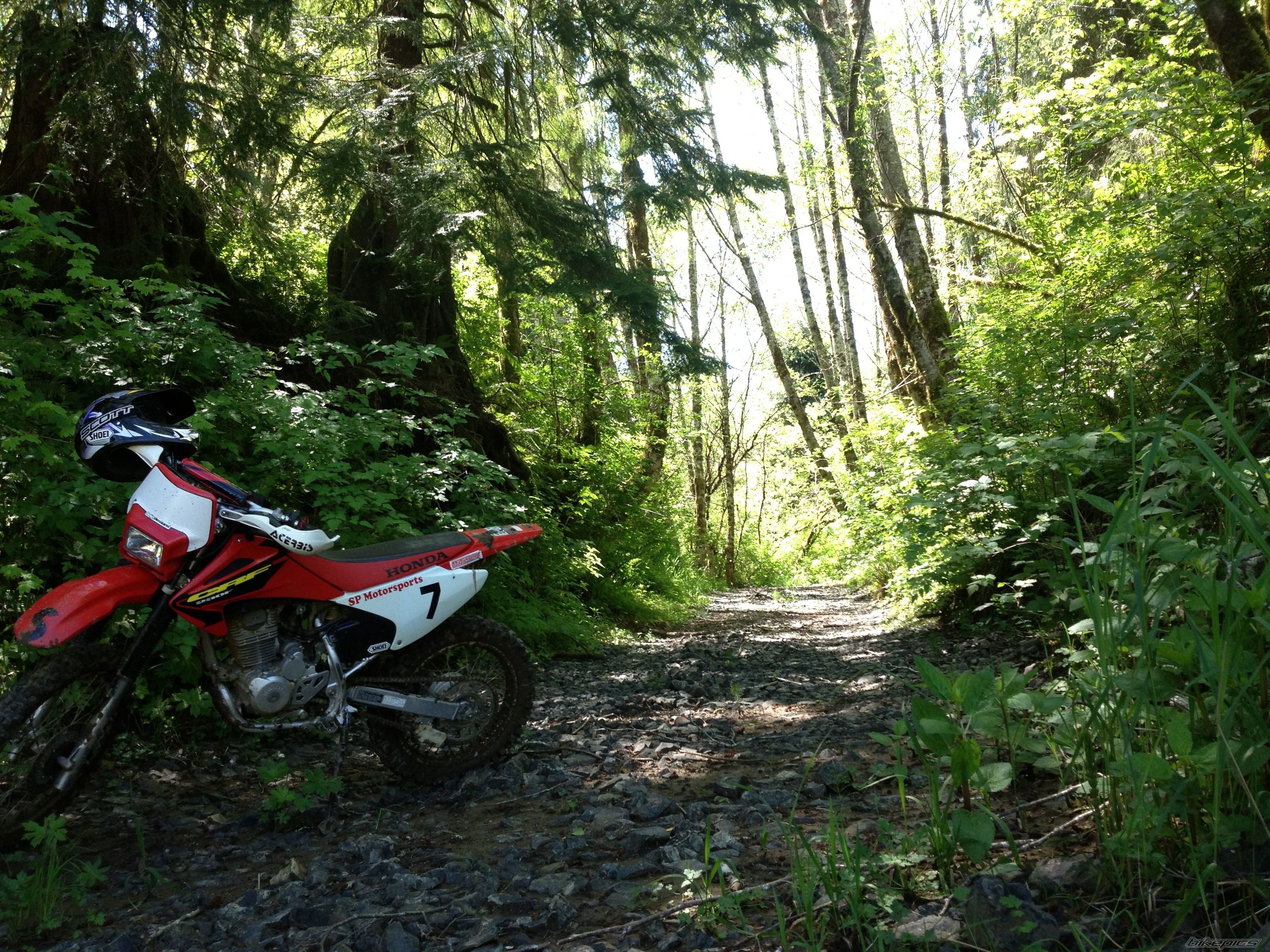 Photo 2642036