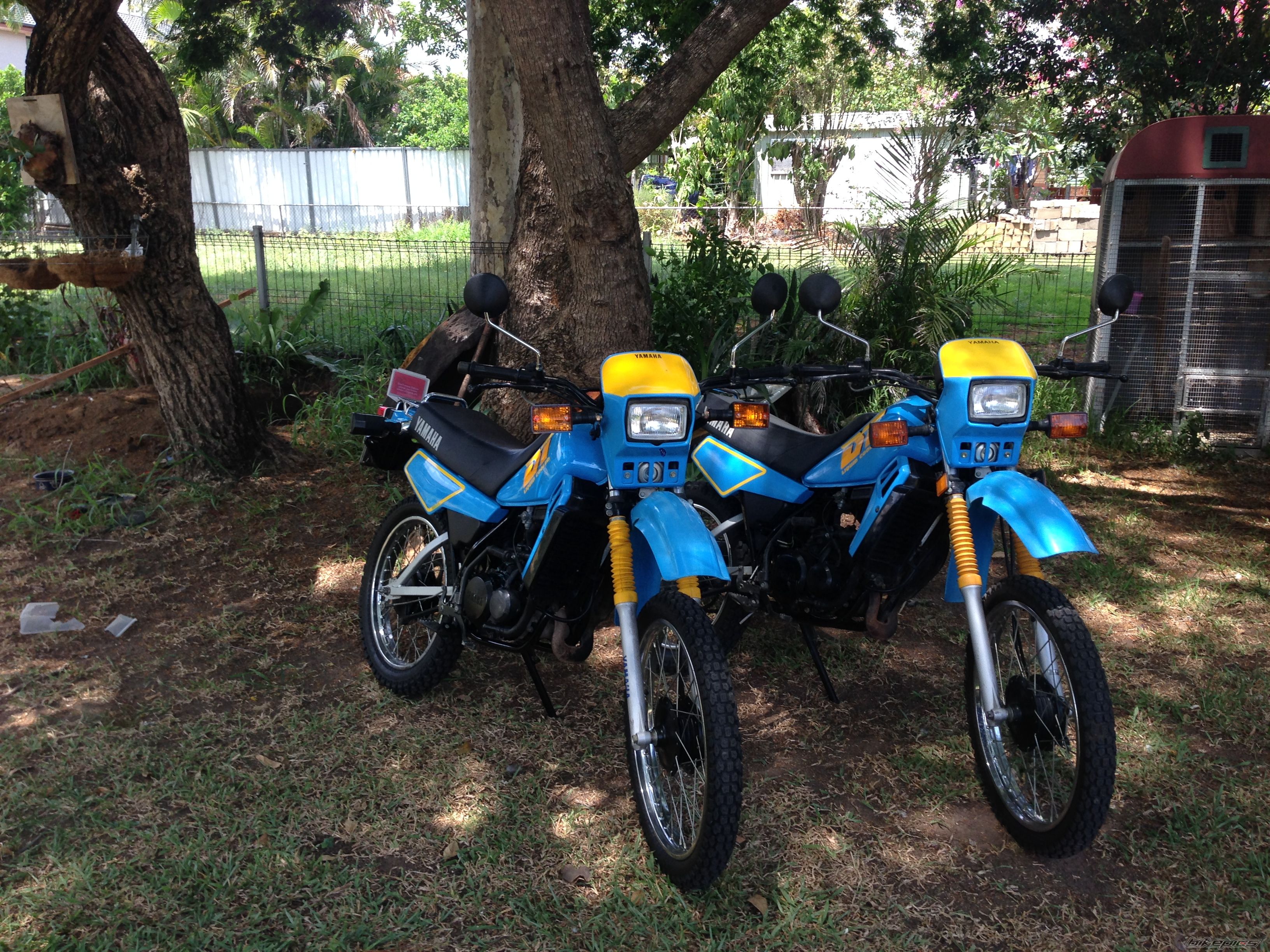 Photo 2642052