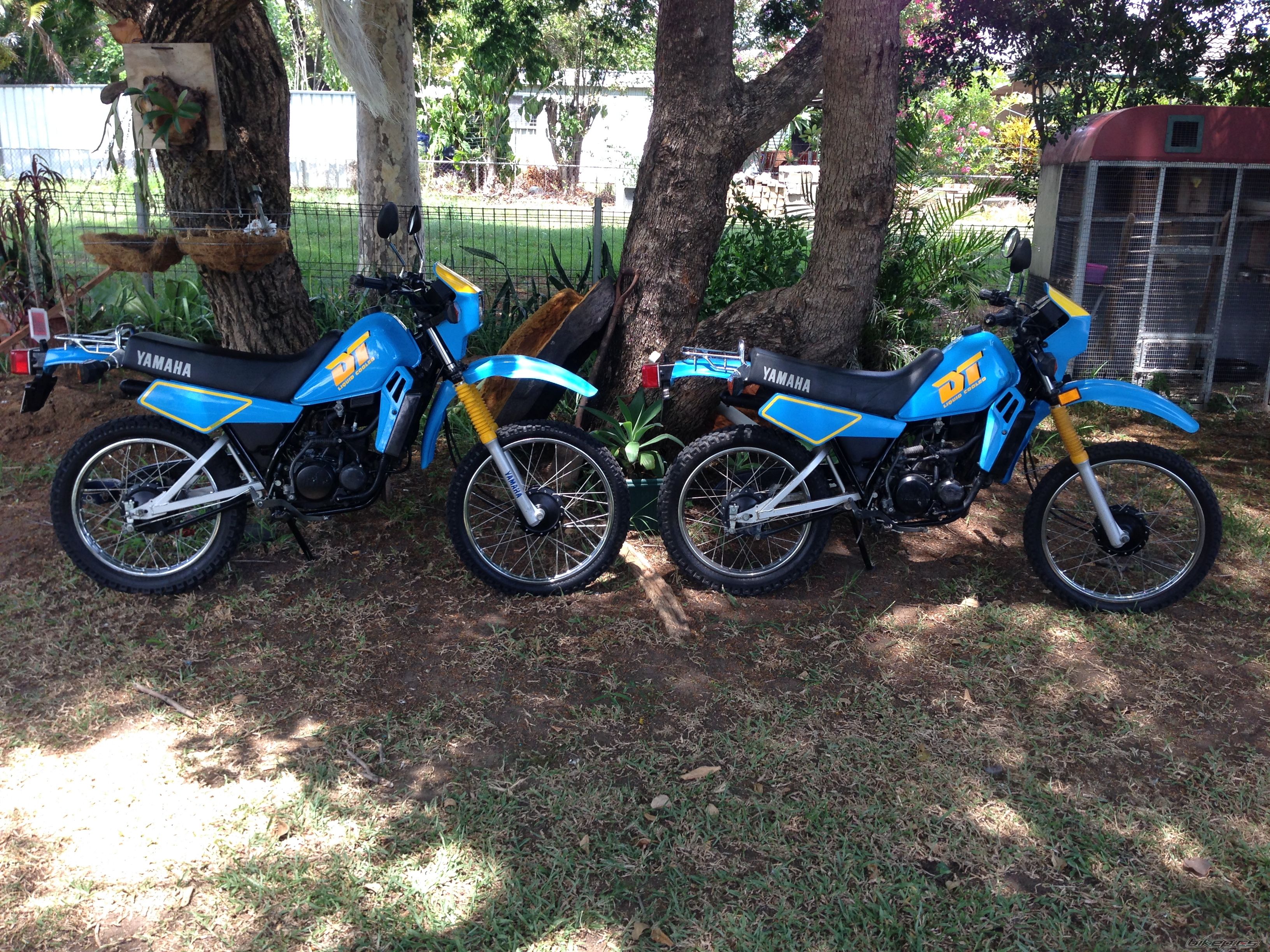 Photo 2642053