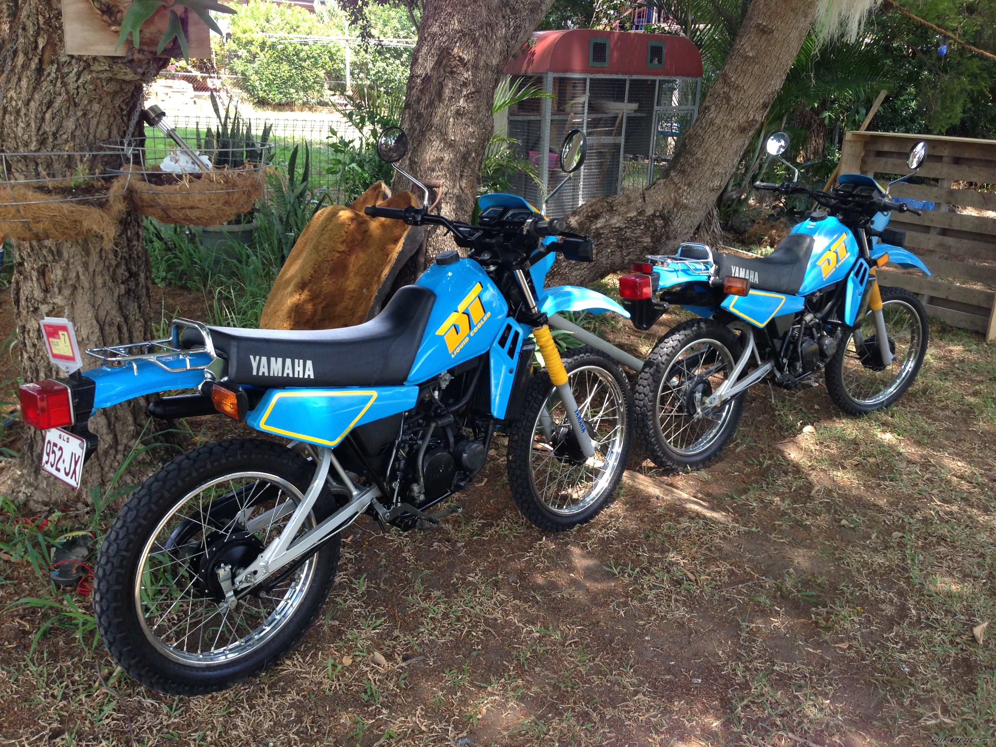 Photo 2642054