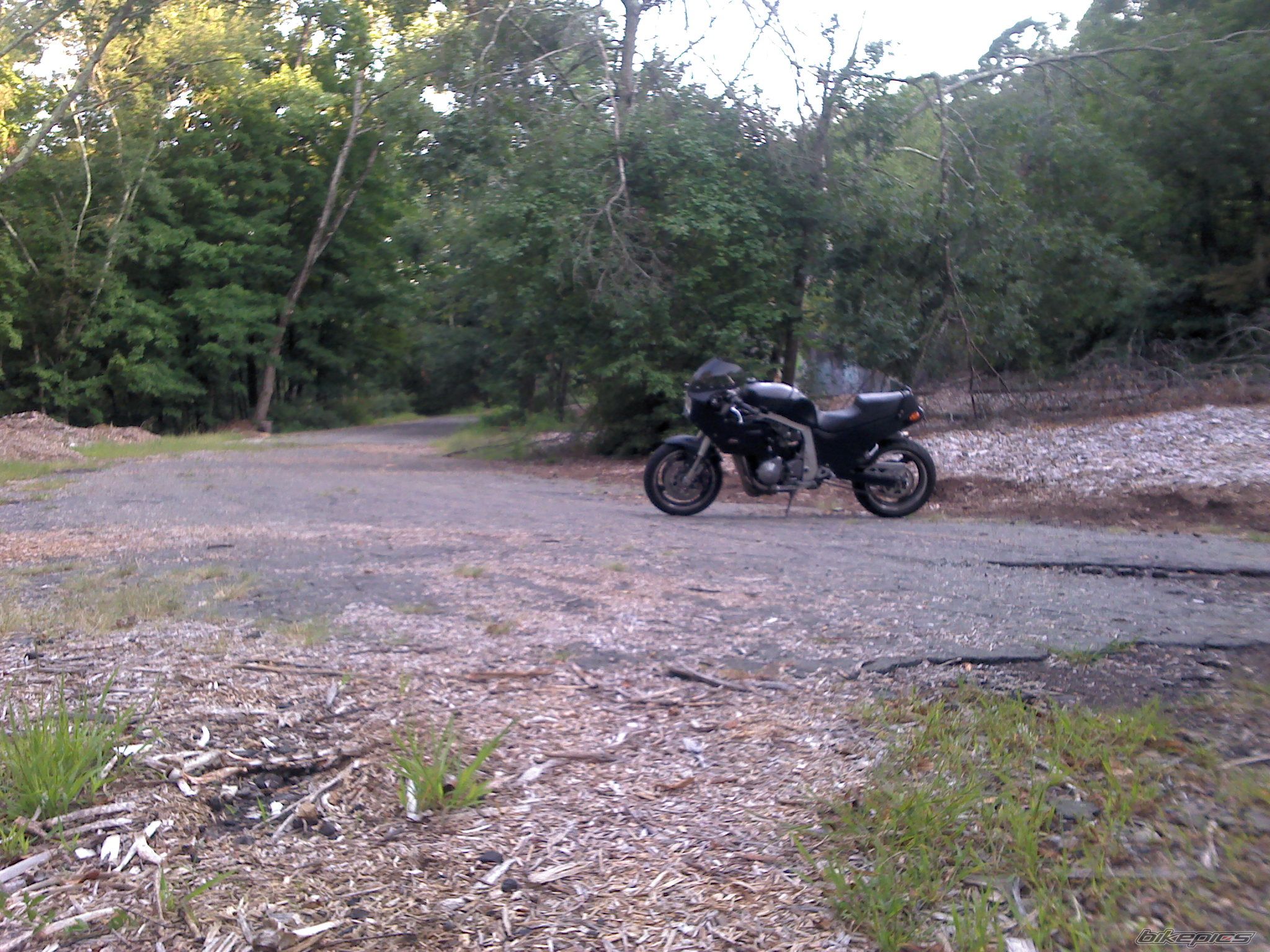Photo 2642056