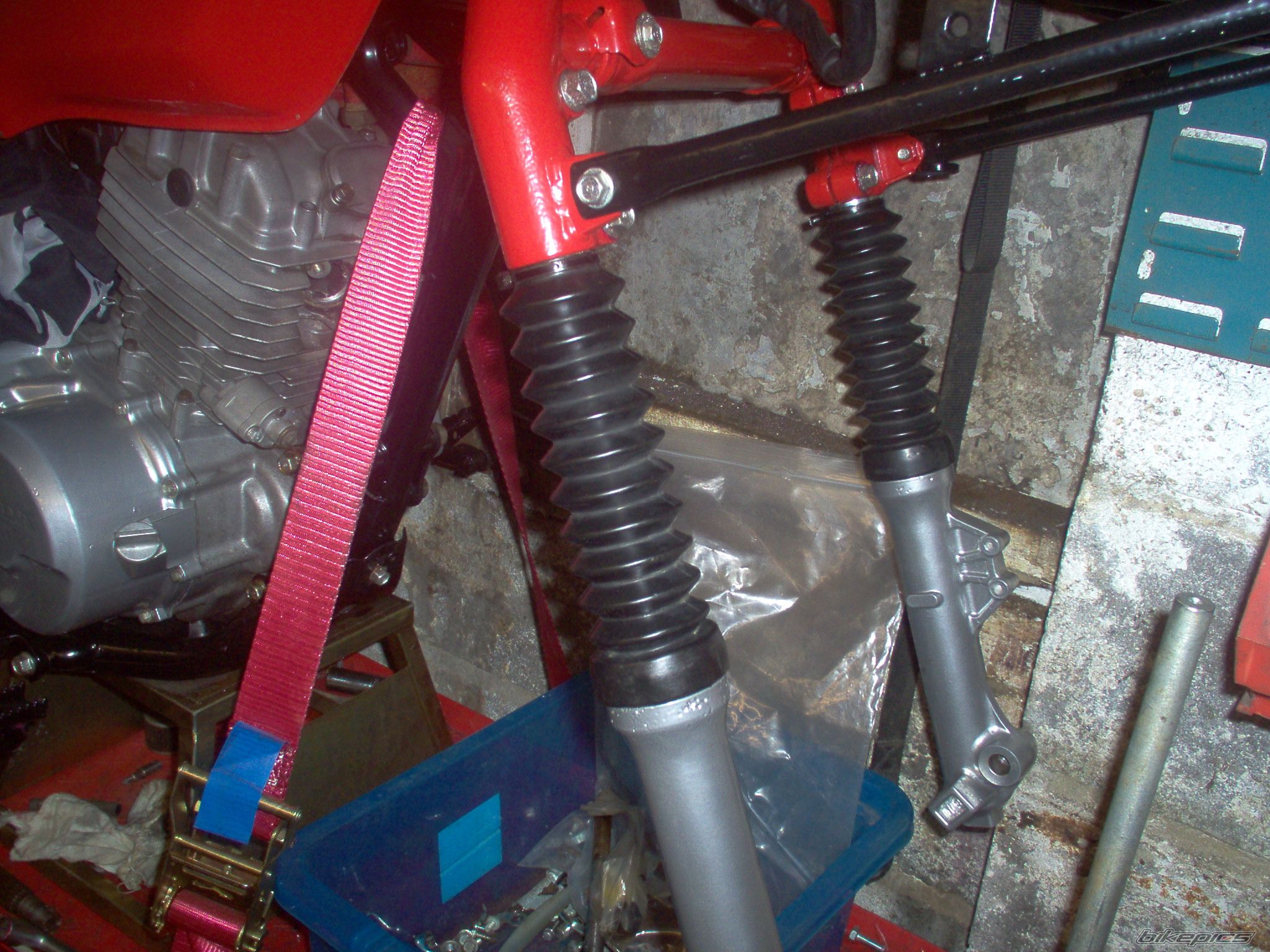 Photo 2642118
