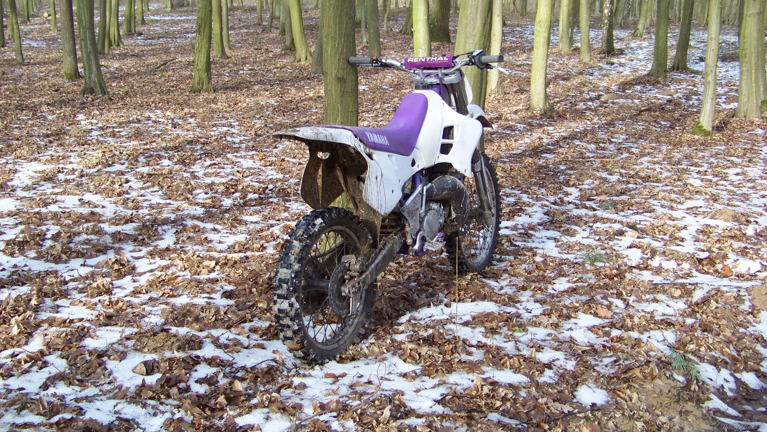 Photo 2642132