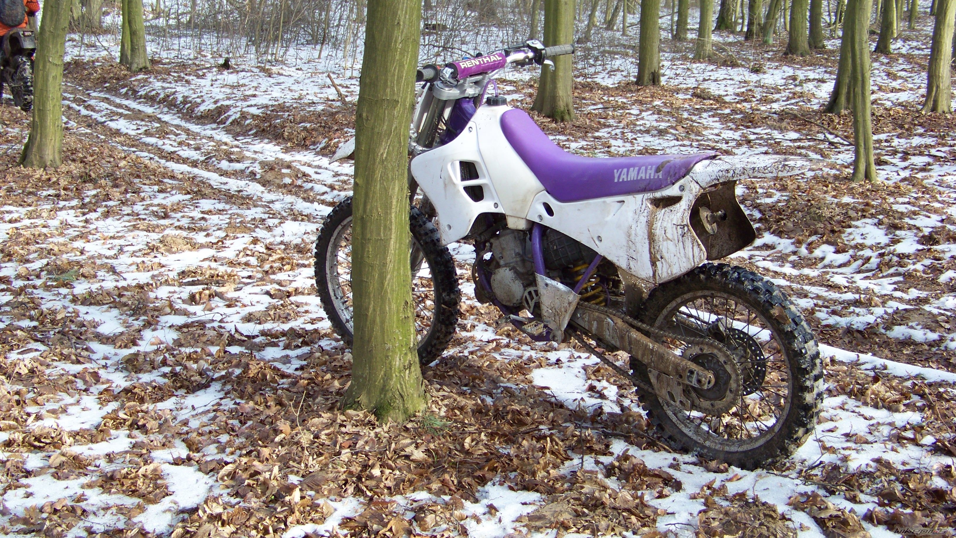 Photo 2642134