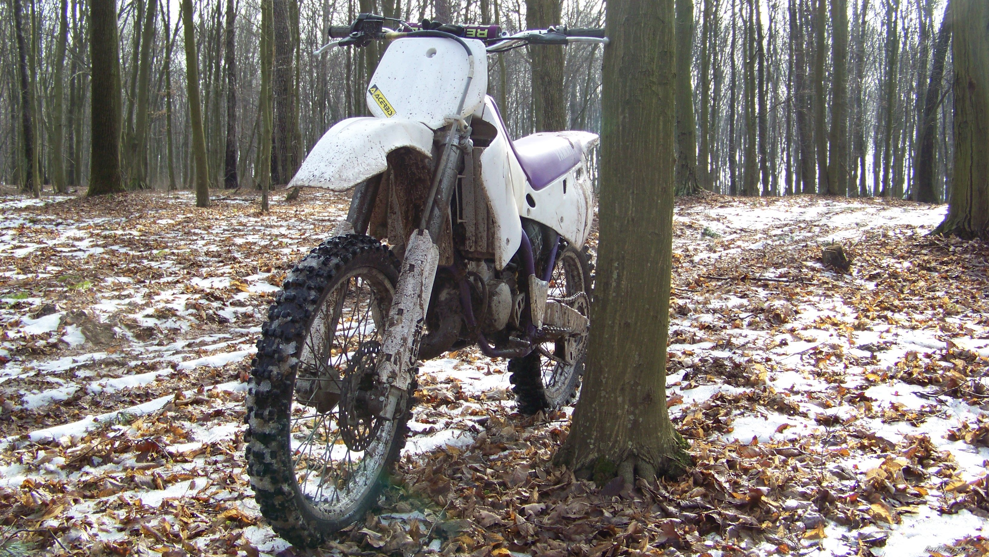 Photo 2642137