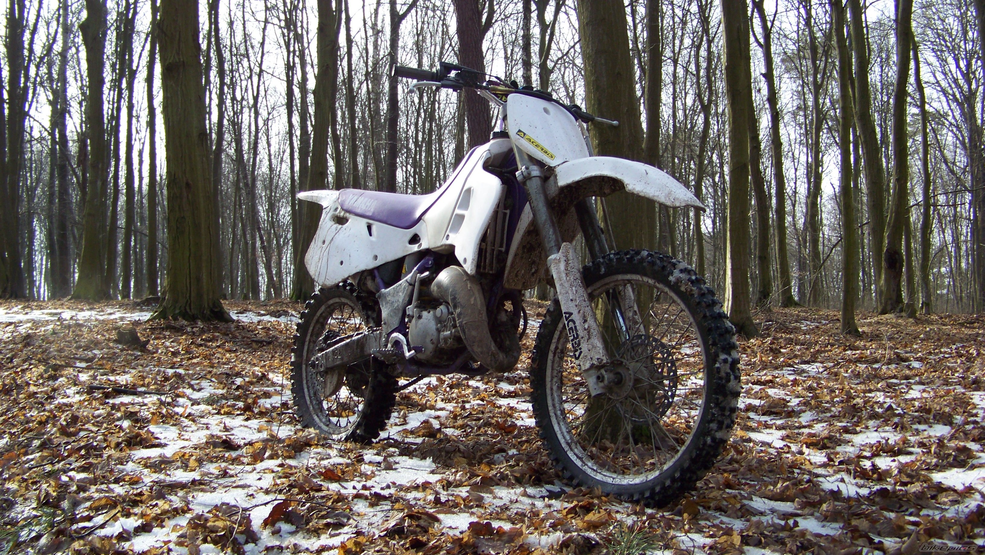Photo 2642139