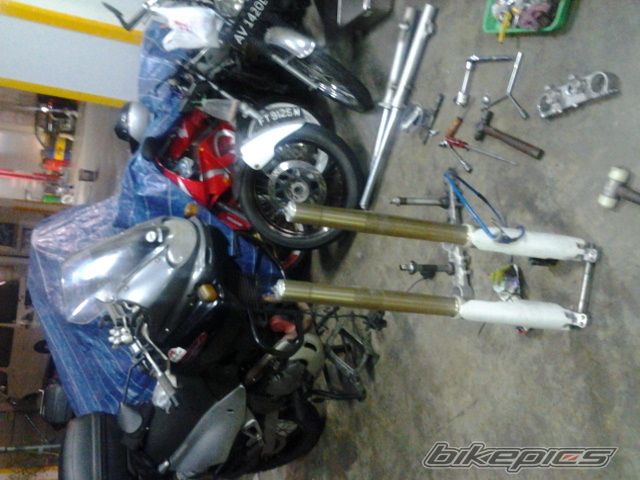 Photo 2642155