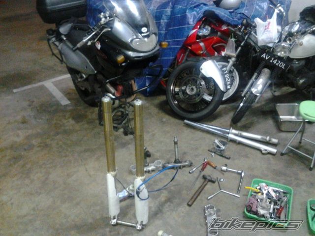 Photo 2642156