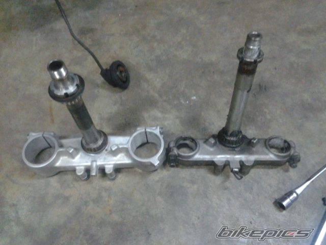 Photo 2642157