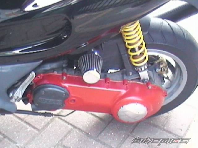 Photo 264219