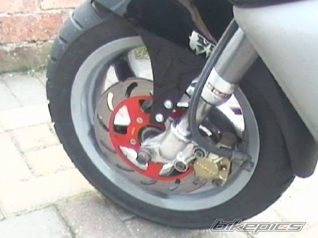 Photo 264220