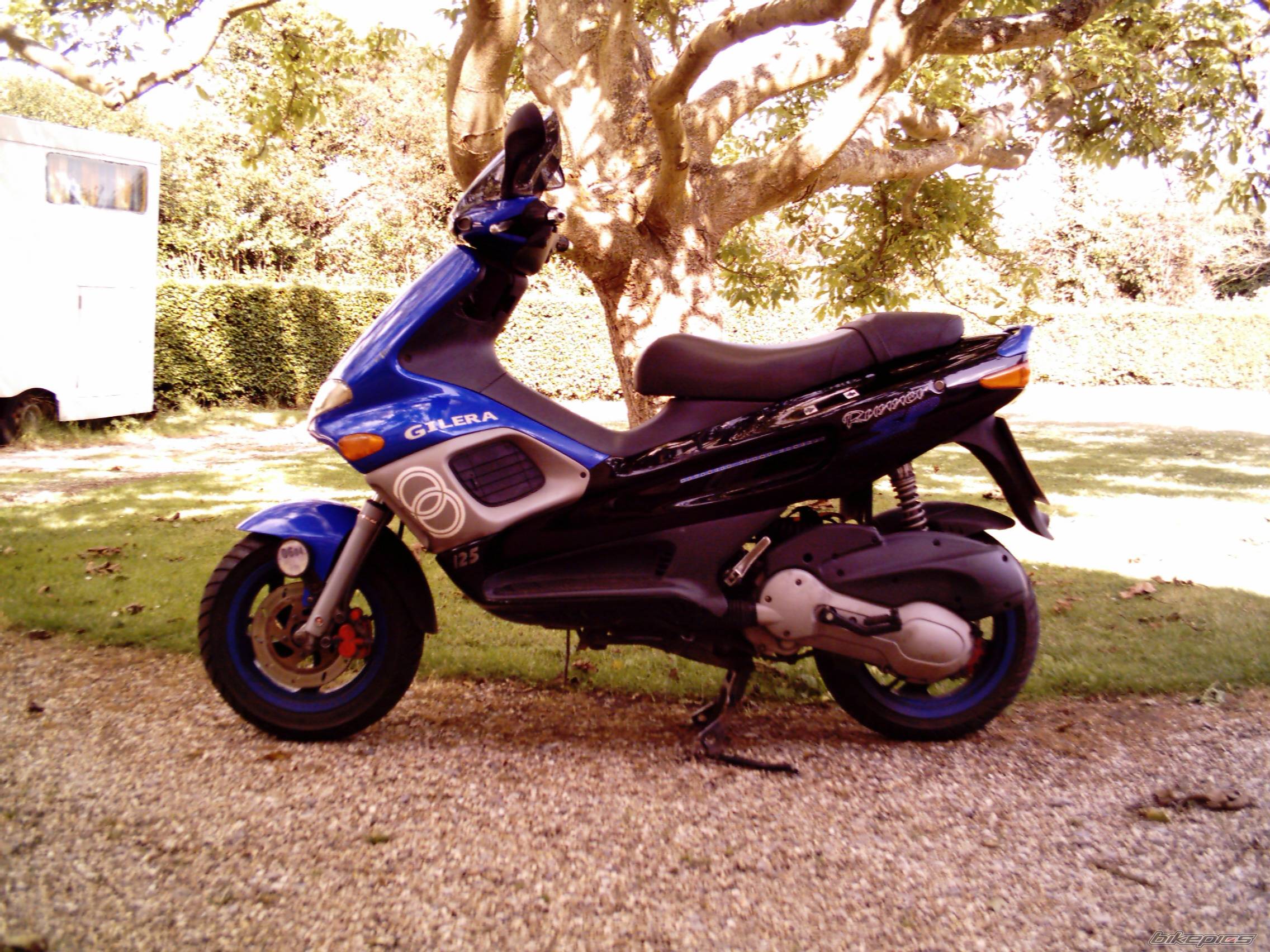 Photo 264223