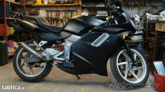 Photo 2642278