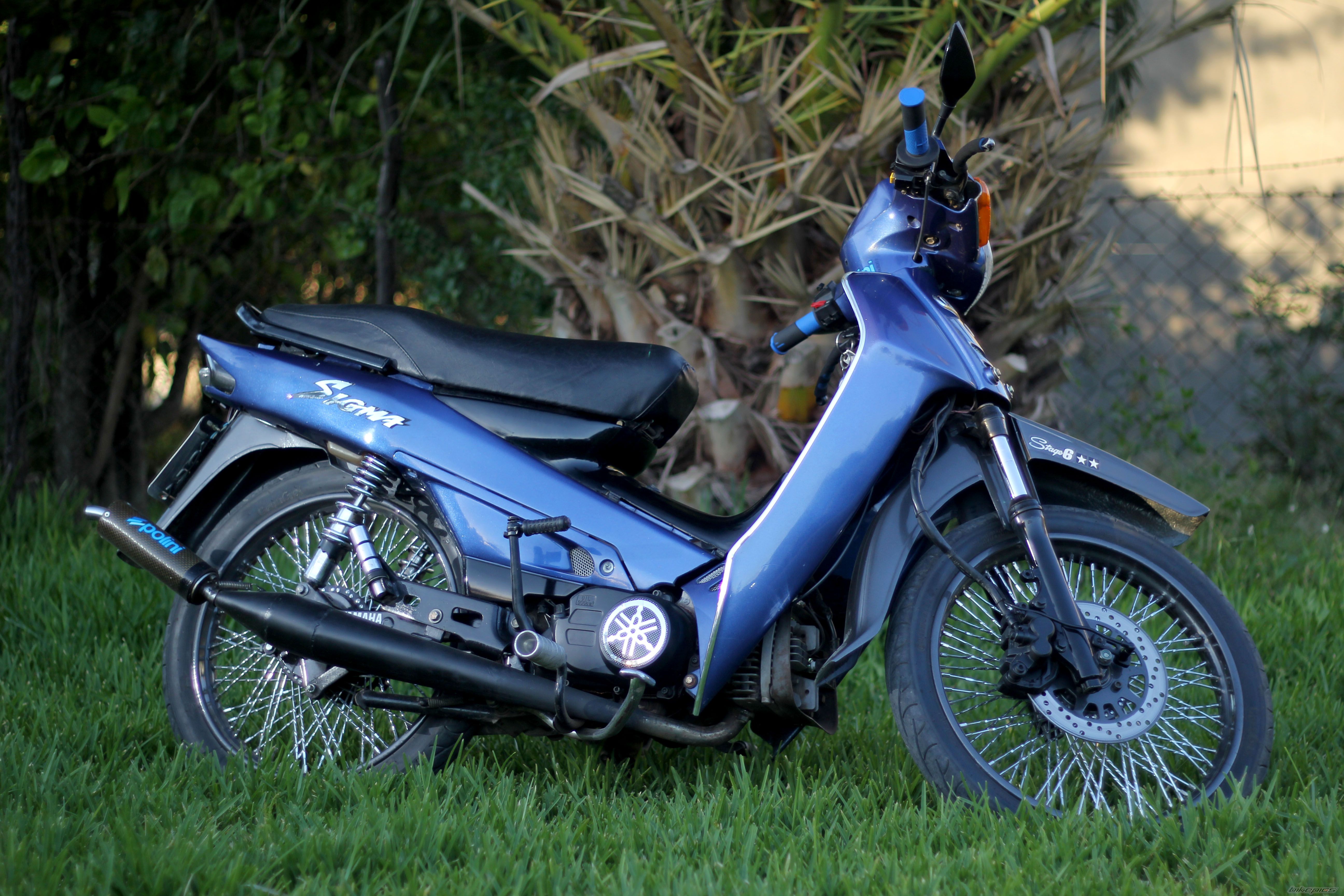 Photo 2642295