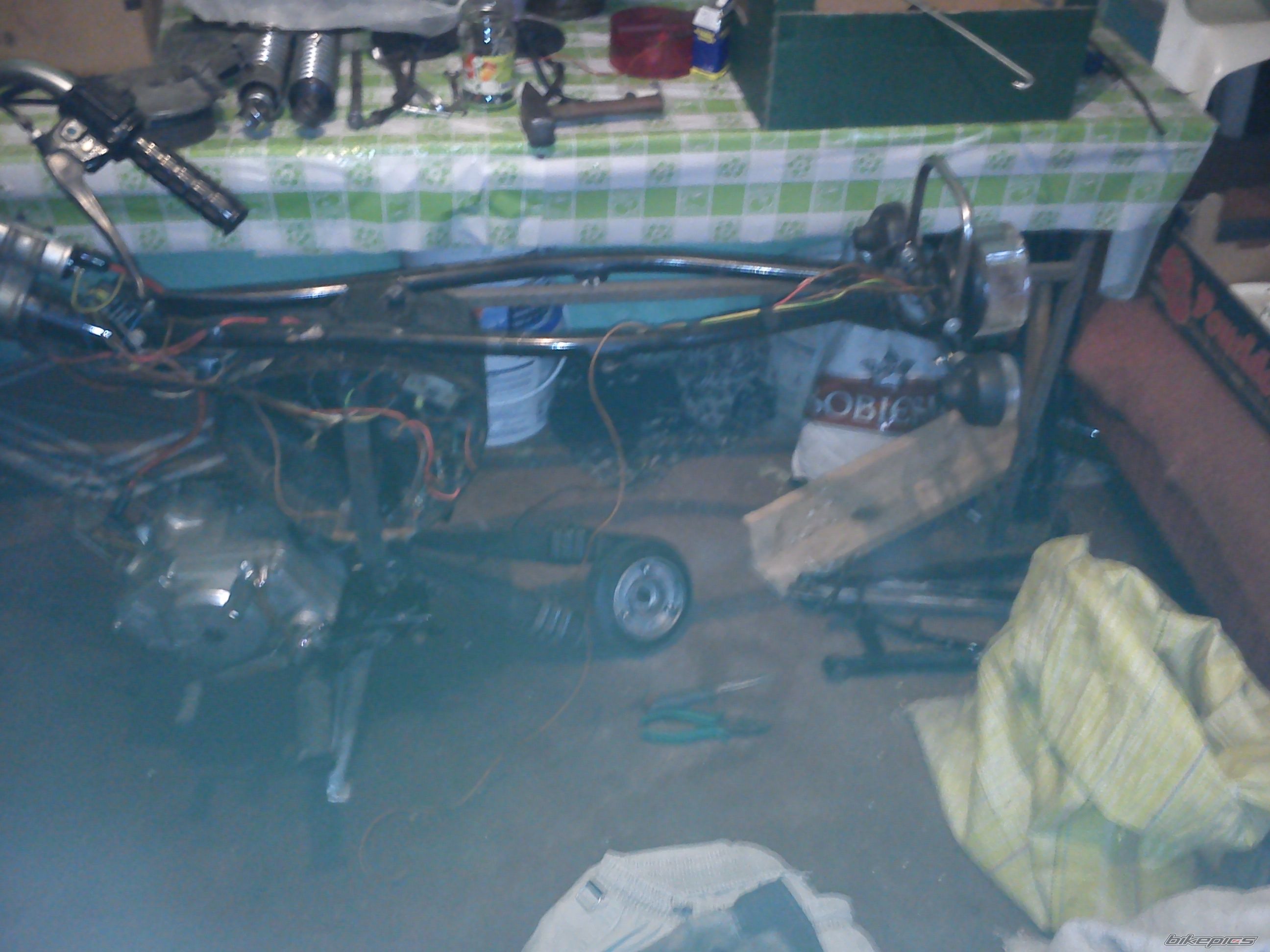 Photo 2642380