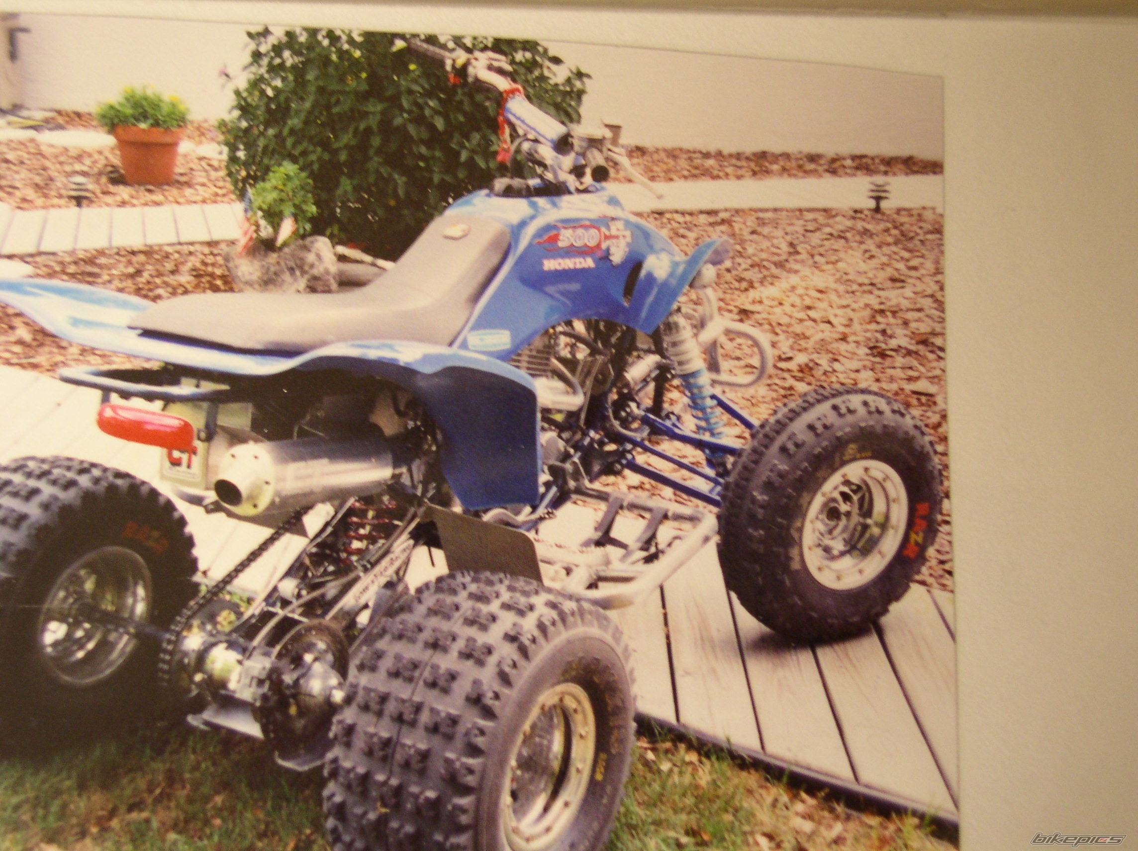 Photo 264247