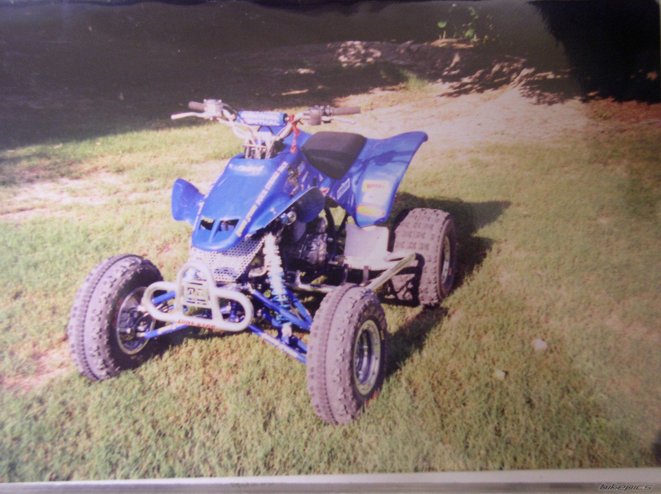 Photo 264250