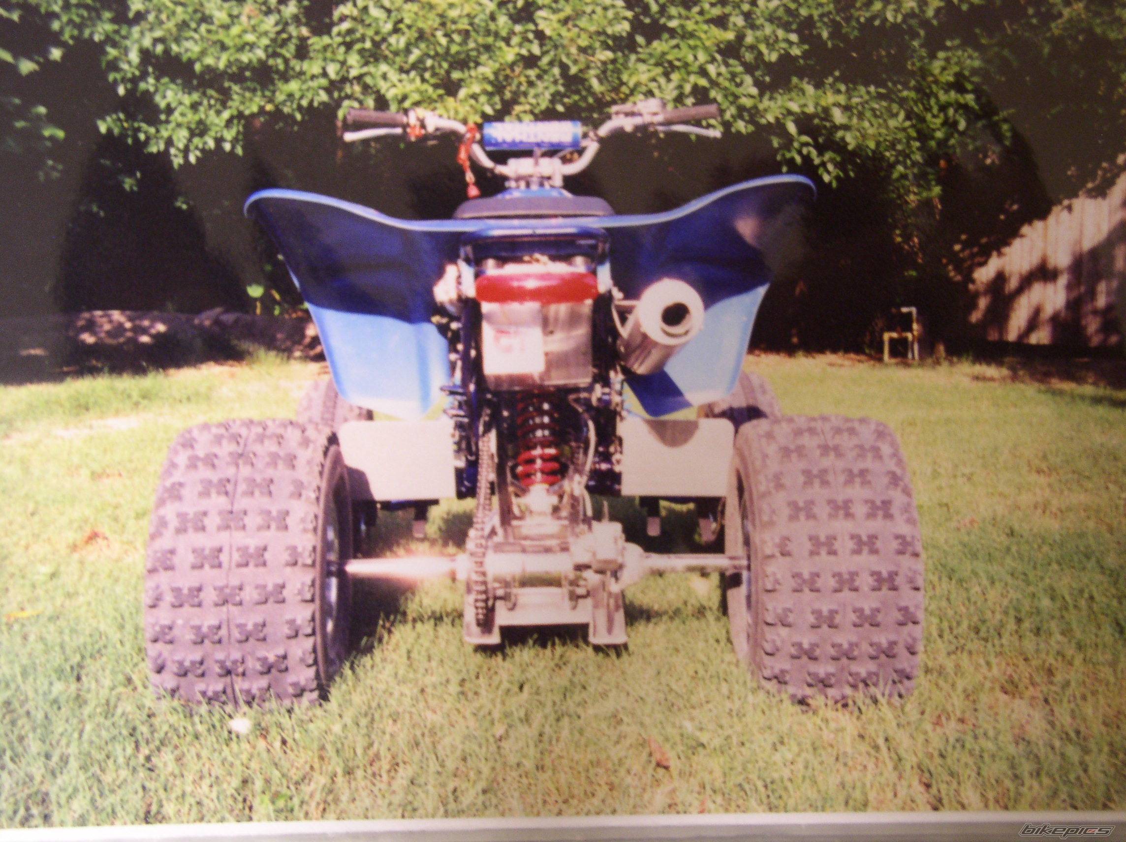 Photo 264251