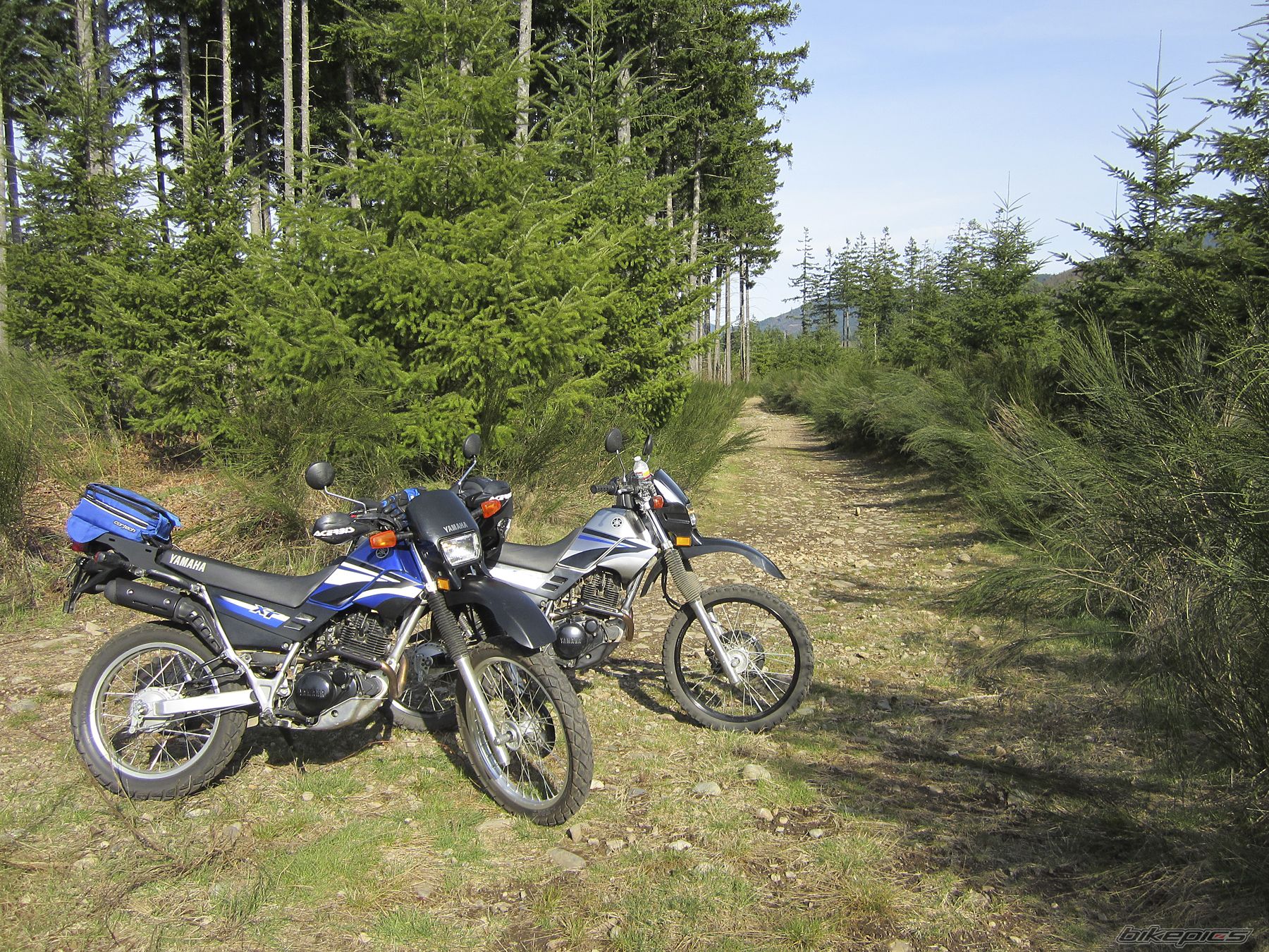 Photo 2642629
