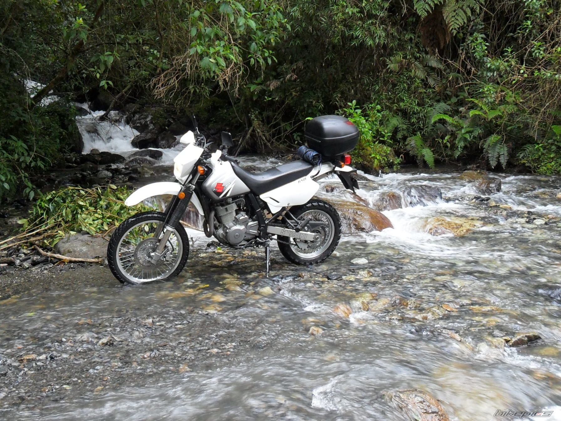 Photo 2642679