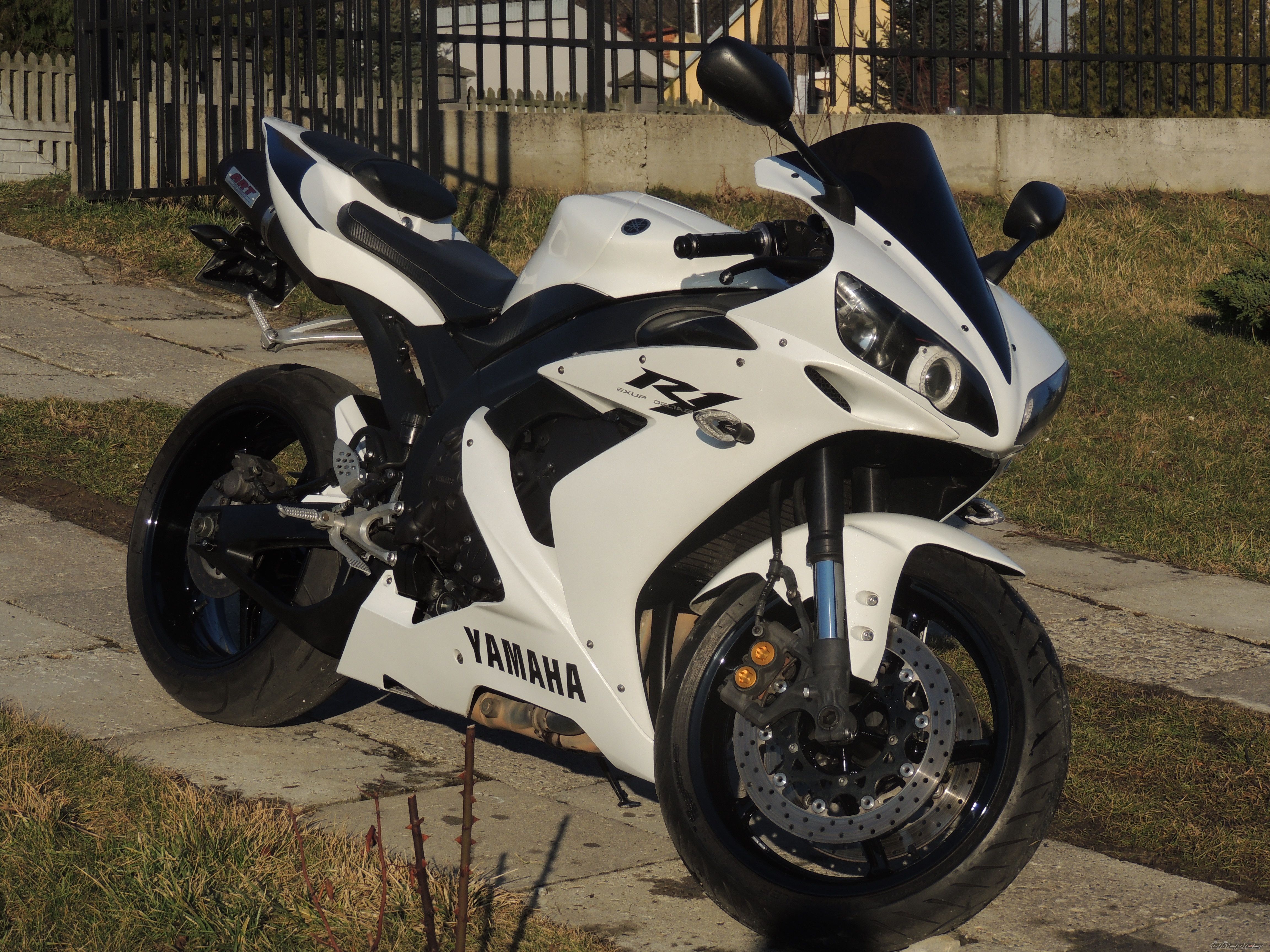 Photo 2642761