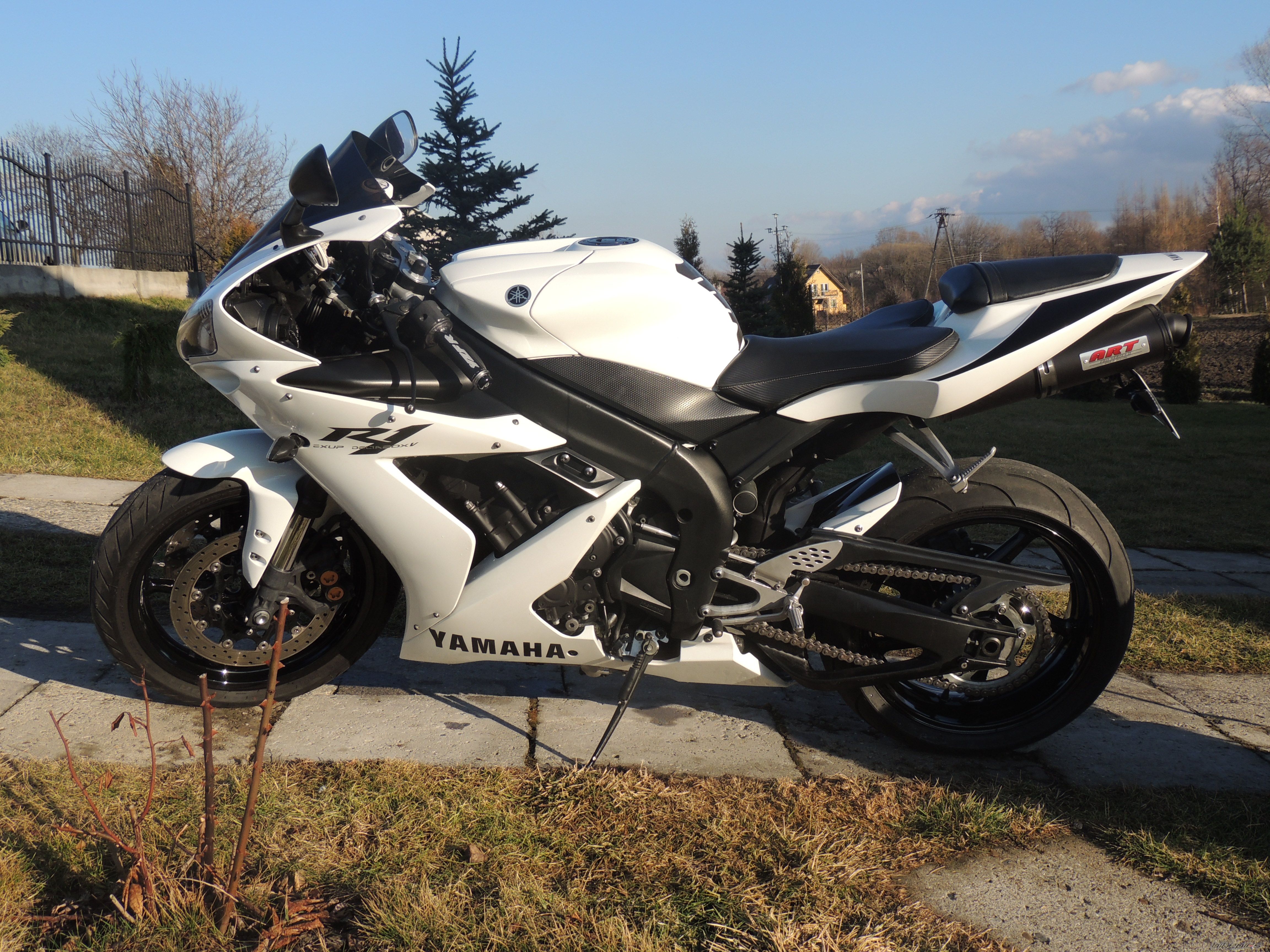 Photo 2642765