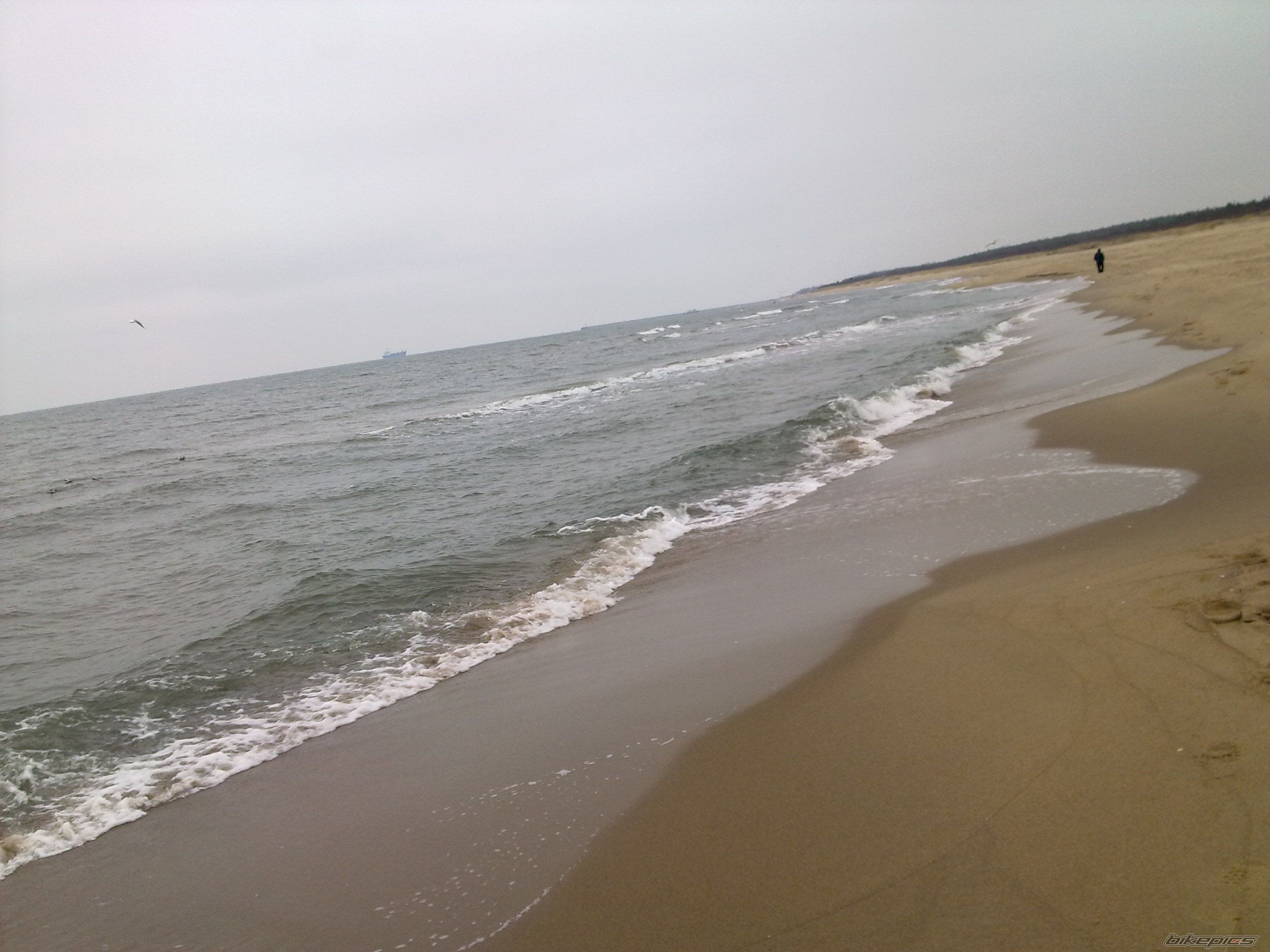 Photo 2642787