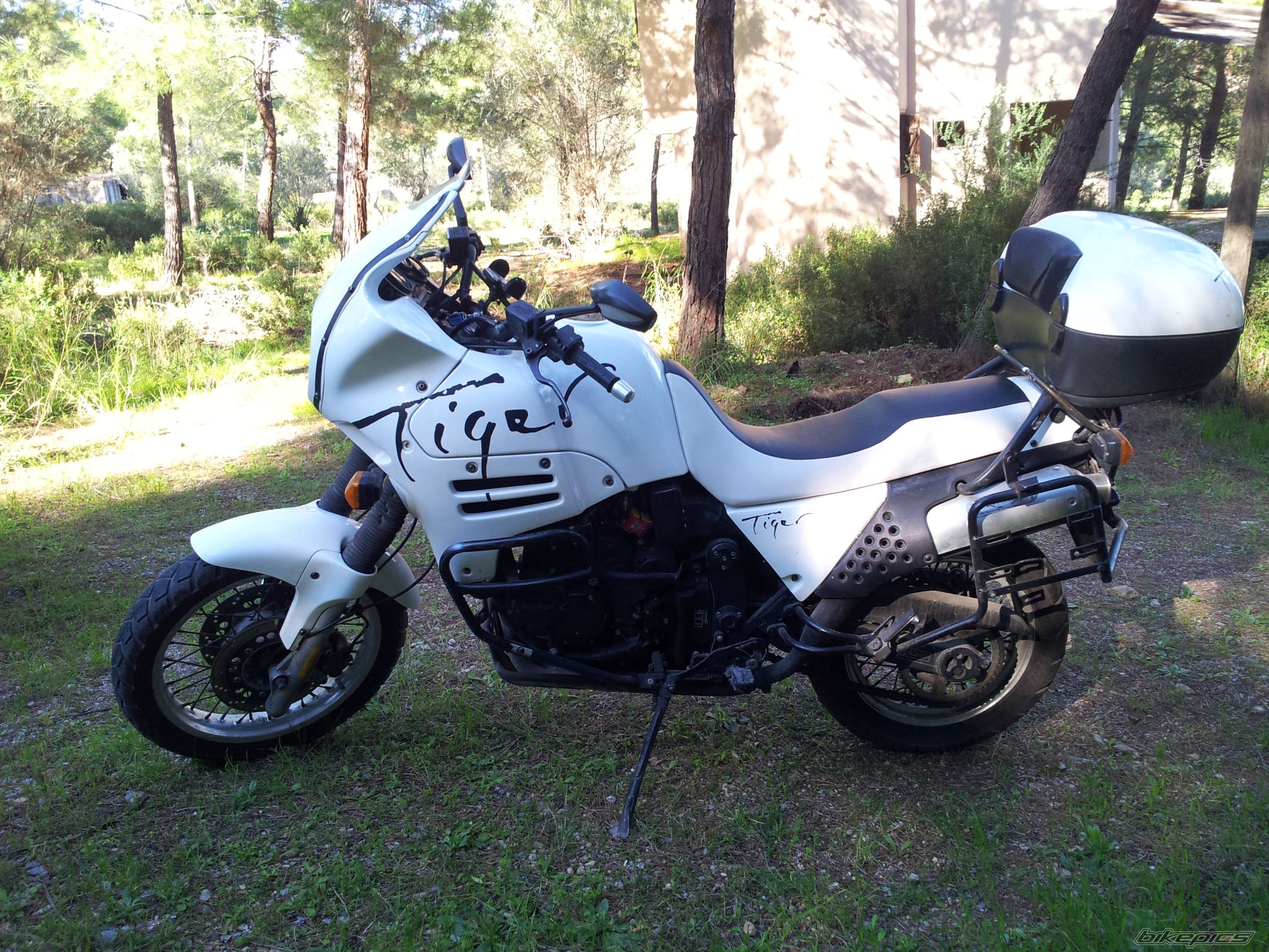 Photo 2642848