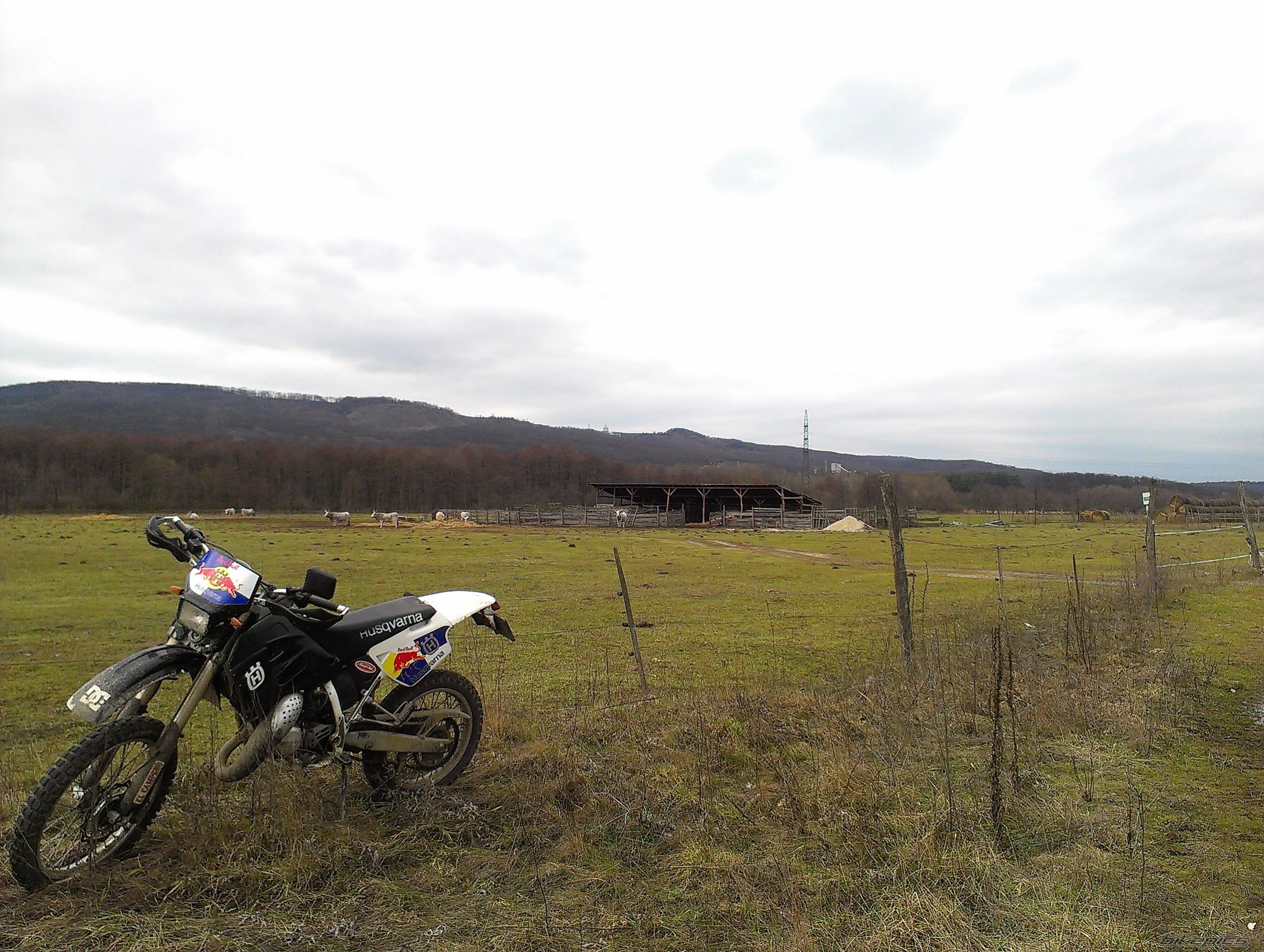 Photo 2642914