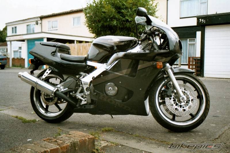 Photo 264292