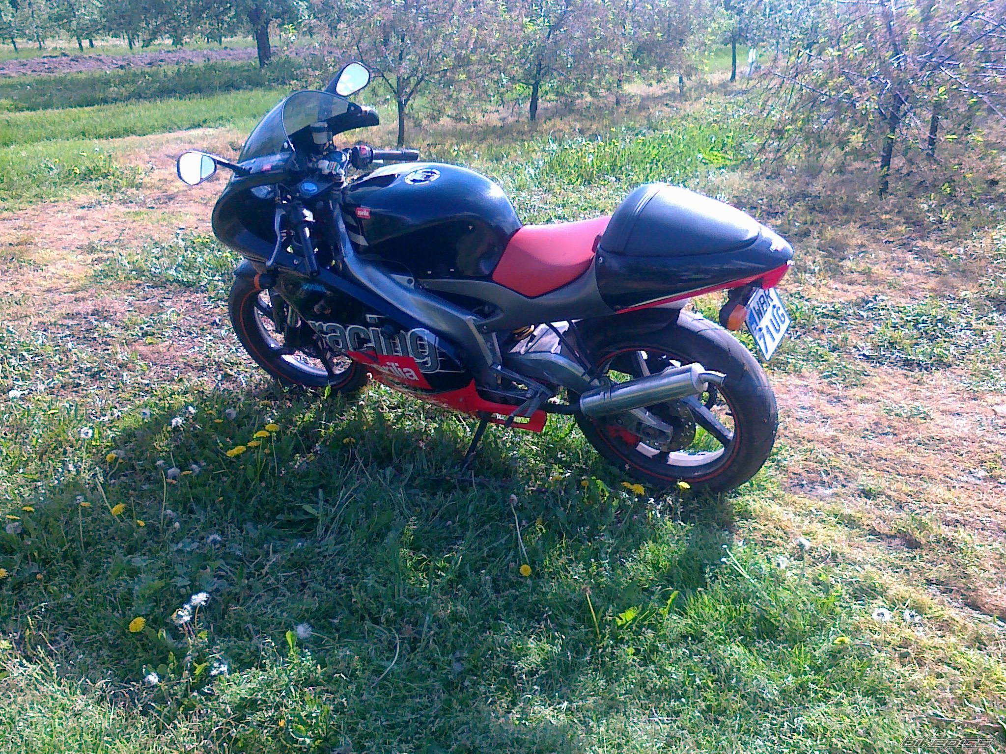Photo 2642948